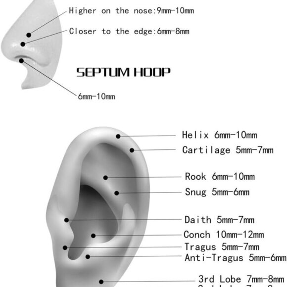 Hypoallergenic Surgical Steel Septum Nose Rings in Multiple Gauges and Colors, C - Picture 4 of 7